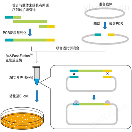 郁金染料法PCR鉴定试剂盒规格
