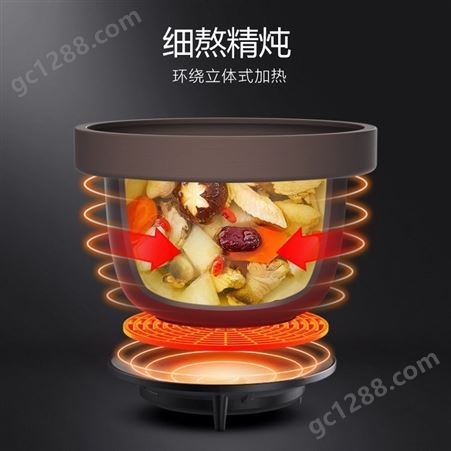 九阳 DG30Z-GD501电炖锅电炖盅3L紫砂养生全自动预约家用煮粥煲汤