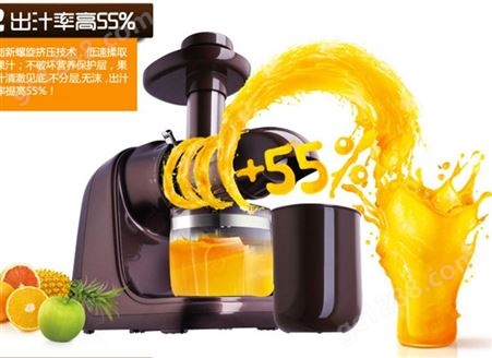Joyoung/九阳 JYZ-E16原汁机家用全自动多功能窄果蔬炸水果榨汁机