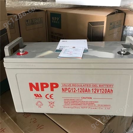 耐普NPP电池NPG12-100 耐普电池12V100AH 直流屏 UPS EPS专用