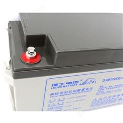 理士蓄电池 12V65AH DJM1265S 理士电池厂优惠价销售