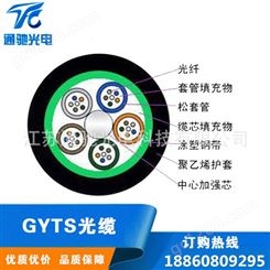 GYTs 层绞式铠装 室外单模光纤光缆 TCGD/通驰光电 GYTS24芯 室外铠装光纤光缆