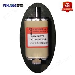 RSM30Z78熔断器订做-FENLONG品牌