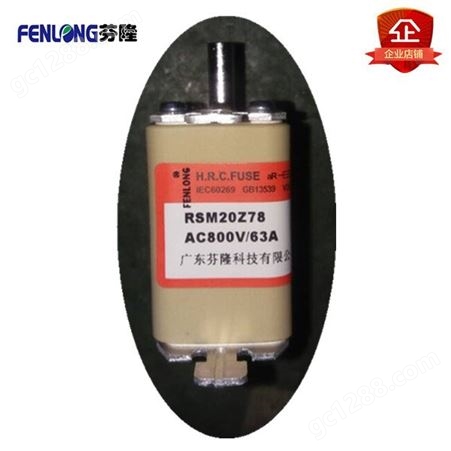 RSM30Z78熔断器订做-FENLONG品牌