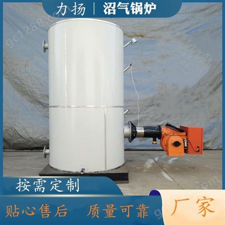 猪场沼气锅炉 集中取暖装置 沼气成套设备 立式热水锅炉