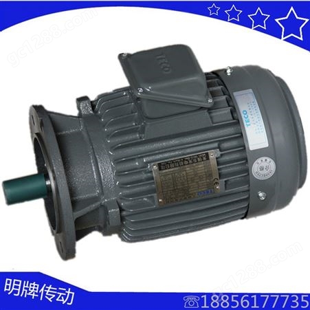 中国台湾TECO东元 机械设备用 多方位安装 3.7KW三相4级电机AEVF3.7KW AEEV3.7KW-4P