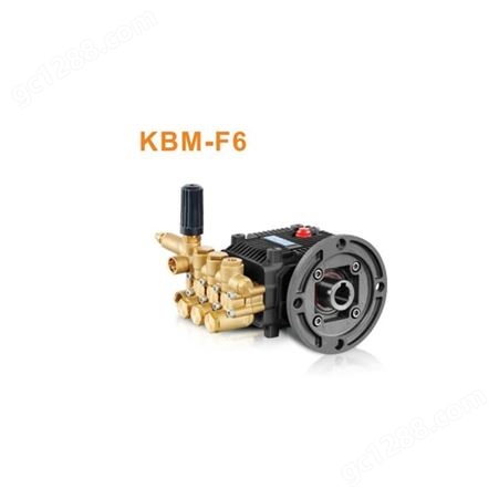 BOTUO-M 1450 rpm N version 28mm TK-F3 清洗机配件-清洗机泵头