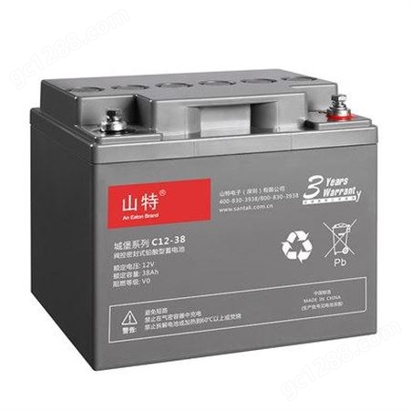 山特UPS电源 电池铅酸蓄电池免维护12V38AH C12-38AH