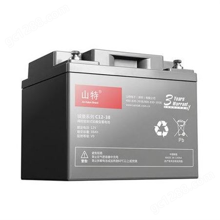 山特UPS电源 电池铅酸蓄电池免维护12V38AH C12-38AH