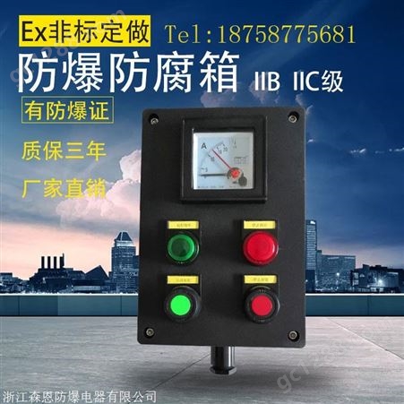 BXM(D)8050防爆防腐配电箱 三防照明动力配电箱