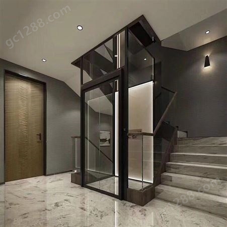 恒升家用电梯 家用别墅电梯 室外电梯 观光家用电梯 可定制