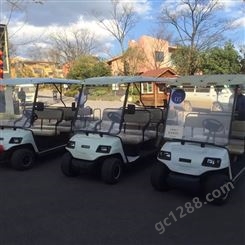 2座电动高尔夫球车 全电动堆高车观光一车多用