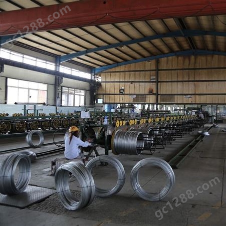 盛金源 钢丝厂家6.0 钢丝  猕猴桃钢丝 农业用钢丝 镀锌钢丝 铁丝 生产范围：1.0-6.0mm 可定制