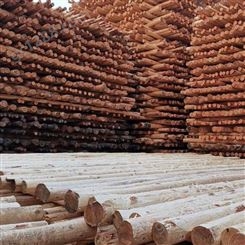 盛金源 供应 油木杆 8米  油炸杆 通信木杆 防腐木杆 生产范围：6-12米