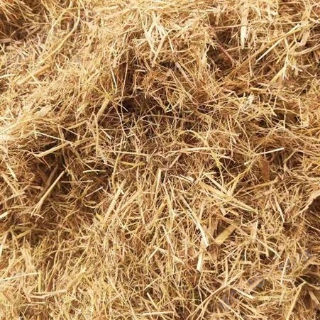 边坡草纤维 嵩杰草纤维 草纤维增加有机质 源头厂商制造