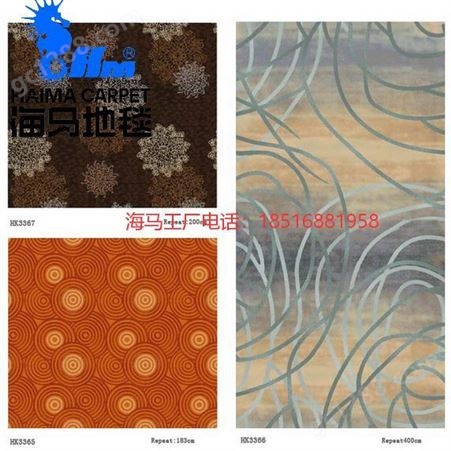 北京市 公区地毯 大会议室 海馬尼龙印染地毯