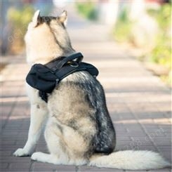 辽宁锦州 宠物训练袋户外狗零腰包 便携外出狗包 透气网 可视透明 优贝卡宠物训练腰包