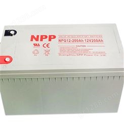 耐普NPG100-12 12V100AH免维护蓄电池UPS电池