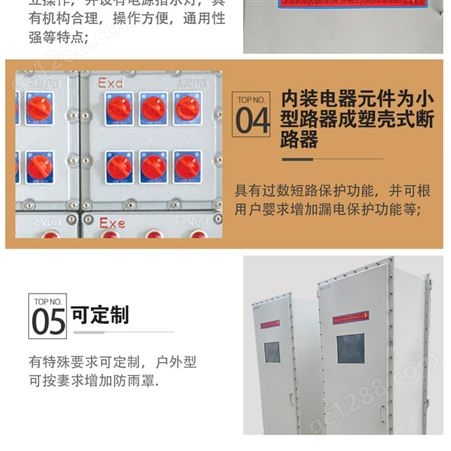 生产定制防爆配电箱正压控制柜 IIC防爆箱动力电气仪表箱