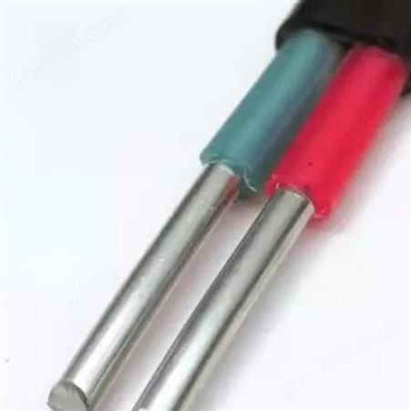  弘泰线缆有限公司 一枝秀 防老化电线铝芯电线2芯NLVVB2*10
