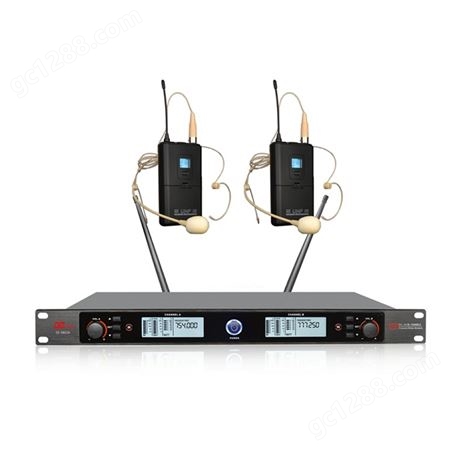 帝琪坐式麦克风扩声音视频会议系统采购一拖二无线台式会议话筒DI-3802A