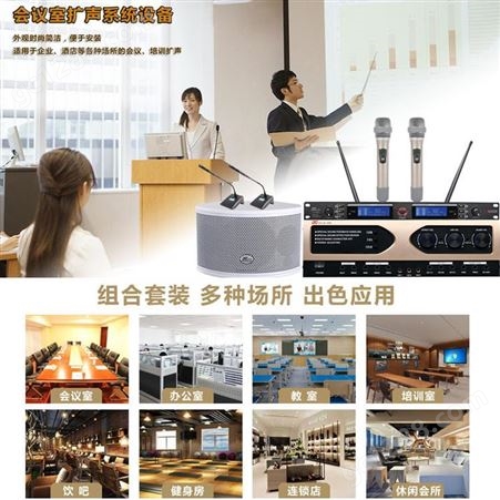 帝琪会议话筒厂家会议室扩声系统设计设备数字无线代表机QI-3889A