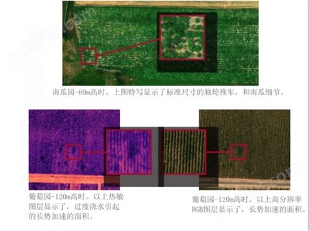 新型农业无人机三合一遥感相机--5通道多光谱/热成像/RGB