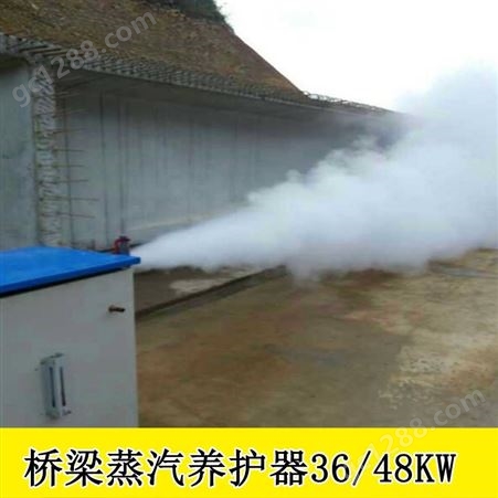 广西贺州全自动桥梁养护器小型蒸汽发生器
