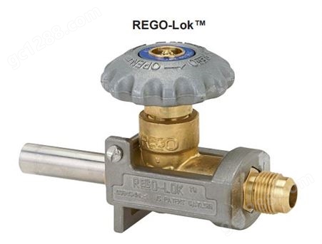 rego阀门用于保护液瓶上的CGA装置