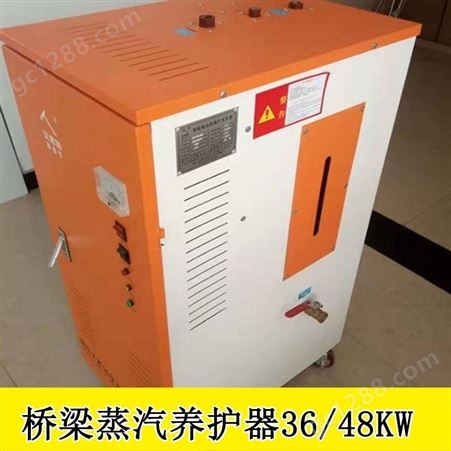 贵州黔东南混凝土T梁热蒸汽养护机80KG柴油蒸养设备