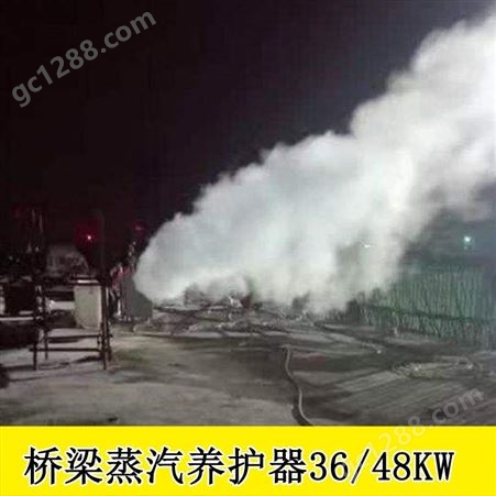 广西贺州全自动桥梁养护器小型蒸汽发生器