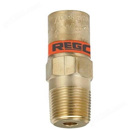 美国 REGO安全阀 销售PRV9432T550全系列产品