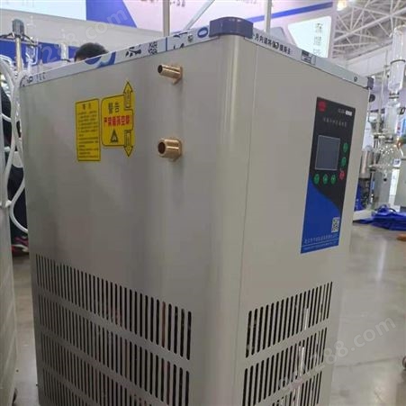 DLSB-20/30低温冷却液循环泵 低温至-30°C