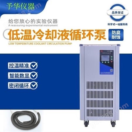 DLSB-20/20低温冷却液循环泵 低温-20°C