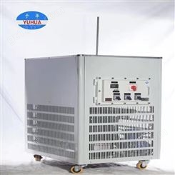 DFY-100/20 30 40低温恒温搅拌反应浴（槽）
