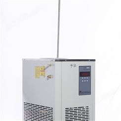 DLSB-20/40低温冷却液循环泵（低温-40°C）