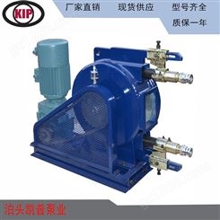 直销高粘度杂质物料软管泵 石灰浆输送泵 蠕动泵 支持定制