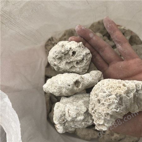 质量保证珊瑚骨 沙珊瑚砂 珊瑚砂价格