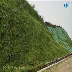 边坡植草 矿山生态修复 山坡喷植山坡恢复绿化植被工艺绿化施工