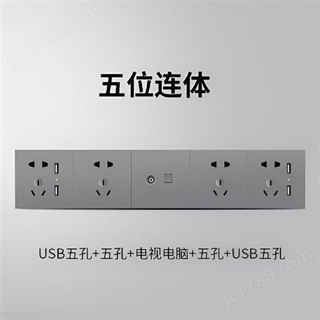 五孔带USB开关 一开双控开关供应销售 力口加 86型开关插座