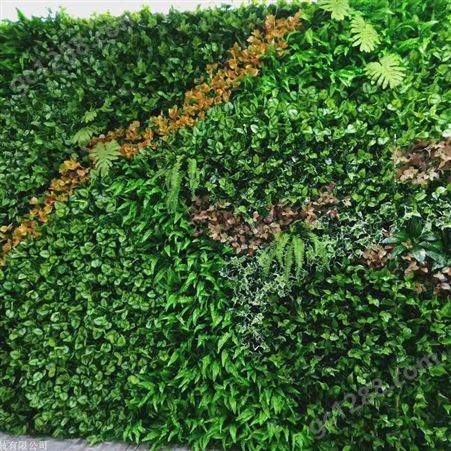 杨浦区办公室植物墙多少钱  绿墙制造
