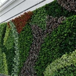 生态植物墙设计