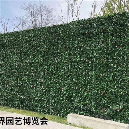 苏州室内植物墙安装  绿墙供应