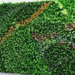 江西植物生态墙工艺  出售