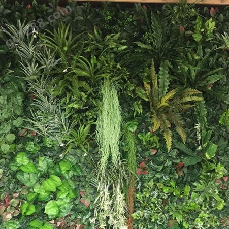江苏办公室植物墙多少钱  绿墙供应