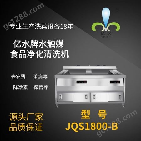 JQS1800双缸水触媒净化清洗机-蔬菜净化