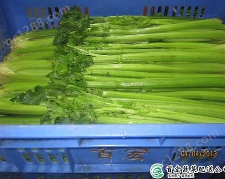 蔬菜生鲜配送_半成品蔬菜配送_首宏蔬菜配送公司