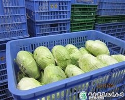 果蔬配送公司_工厂食堂蔬菜配送_首宏蔬菜配送公司
