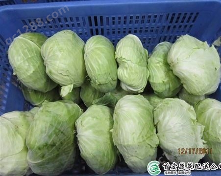 东莞是蔬菜供应公司_食堂蔬菜配送方案_首宏蔬菜配送公司