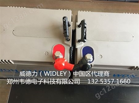 威德力 WIDLEY电池 WDN12650 12V65AH 直流屏用